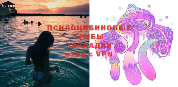 ГАЛЛЮЦИНОГЕННЫЕ ГРИБЫ Кодинск